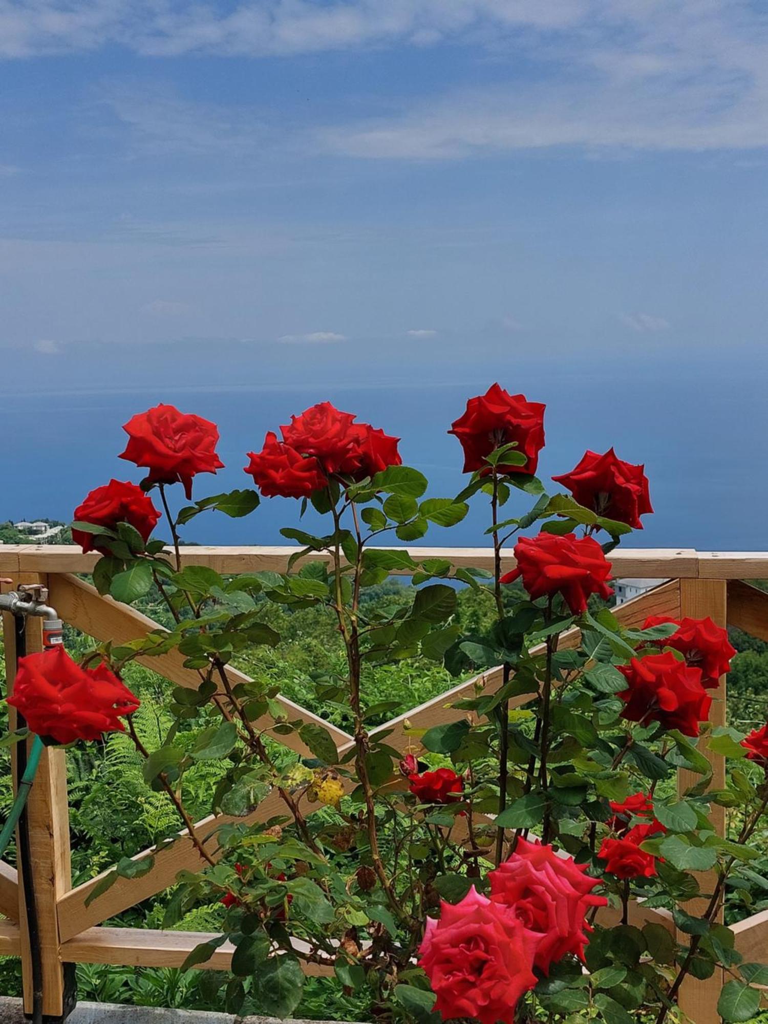 Θαλλώ Luxurious Villa Tsagarada Ngoại thất bức ảnh