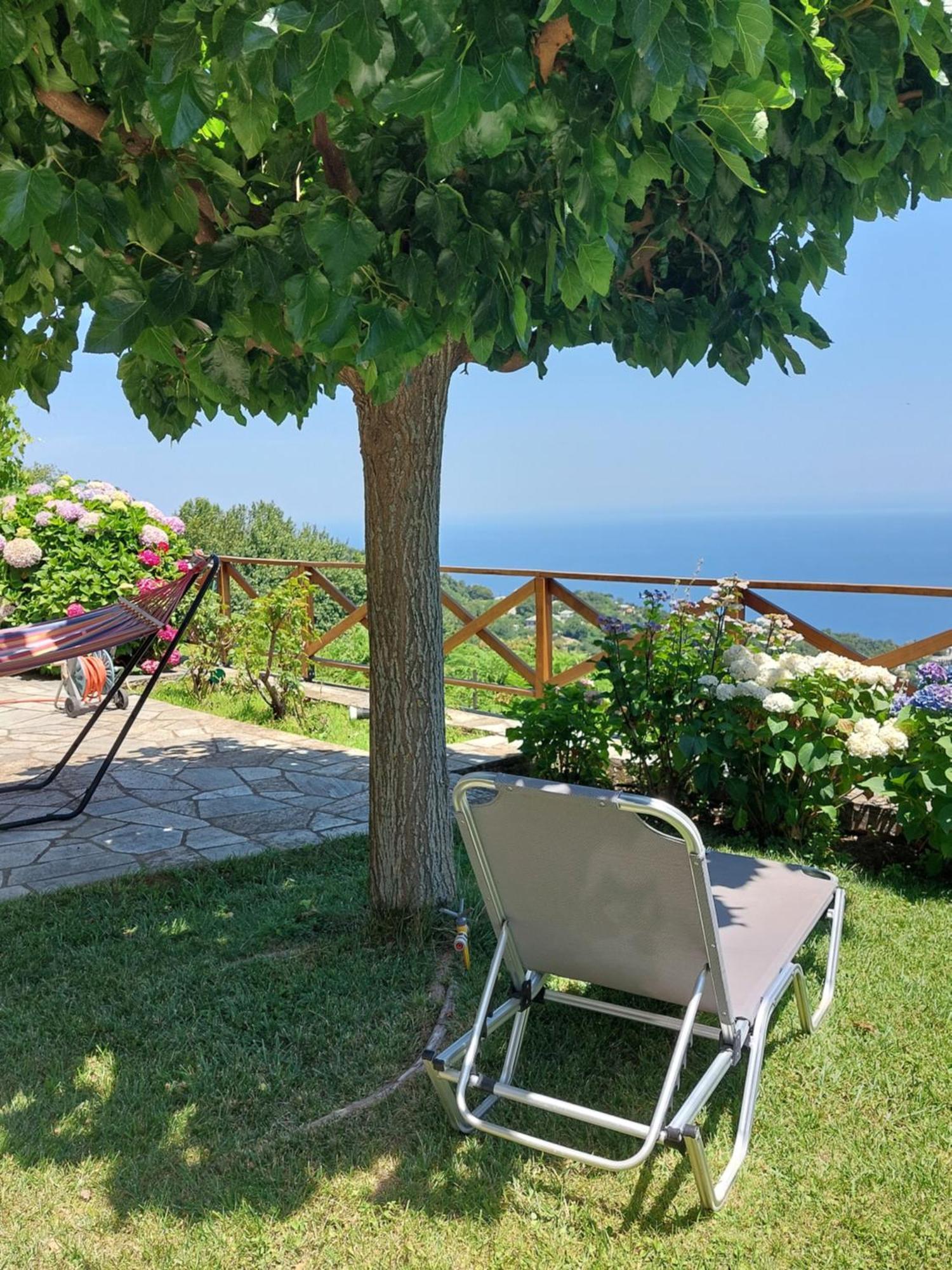 Θαλλώ Luxurious Villa Tsagarada Phòng bức ảnh